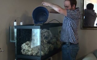 Сколько отстаивается вода для аквариума
