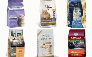 Выбор правильного типа питания для кошки