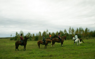 Катание на лошадях (39 фото): обучение верховой езде, польза и вред конной прогулки для детей. Как кататься на санях, запряженных конями?