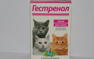 Гестренол  капли и таблетки для кошек и котов