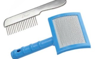 Уход за ушами пуделя. Здоровье и болезни пуделя Уход за ушами пуделя