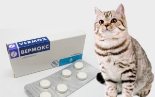 Вермокс для кошек характеристика препарата применение противопоказания
