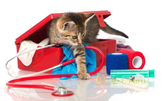 Ветеринарная аптечка для кошек и котов
